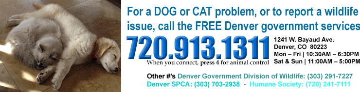 Denver County Animal Control Services - 720-913-1311
